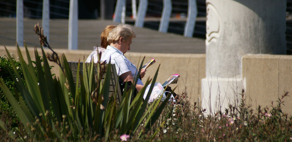 Urban Renewal Case Study - Hythe Promenade