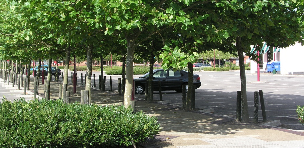 Commercial Case Study - Hengrove Park, Bristol