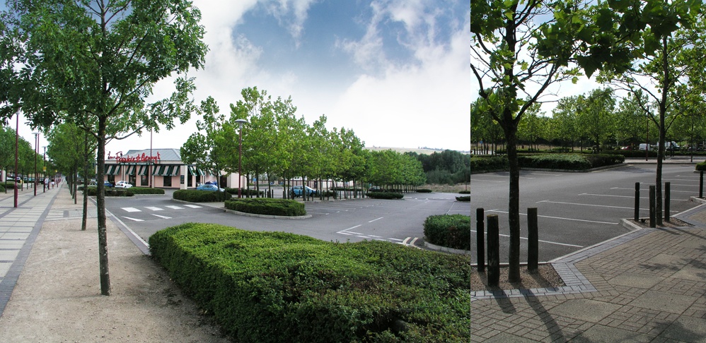 Commercial Case Study - Hengrove Park, Bristol