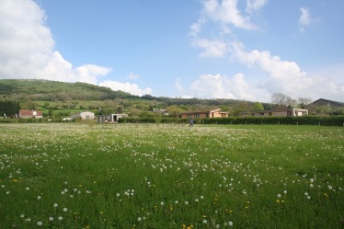 Strawberryfield ParkEco lodges mendips landscape